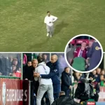 在挪威和摩尔多瓦的比赛中,一球迷试图冲入球场找哈兰德-足球比分在线-足球赛事分析-足球网