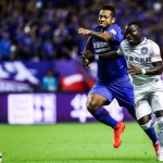 申花将提前跟米内罗锋线新搭档签约，第三轮中超亮相-足球比分在线-足球赛事分析-足球网